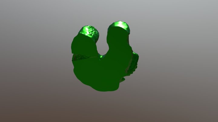 Oso 3D Model