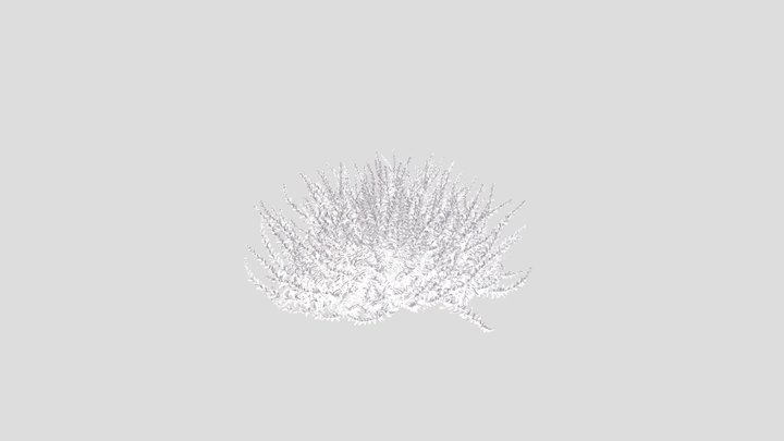 Kkviz Calluna Vulgaris - Tree 3D Model