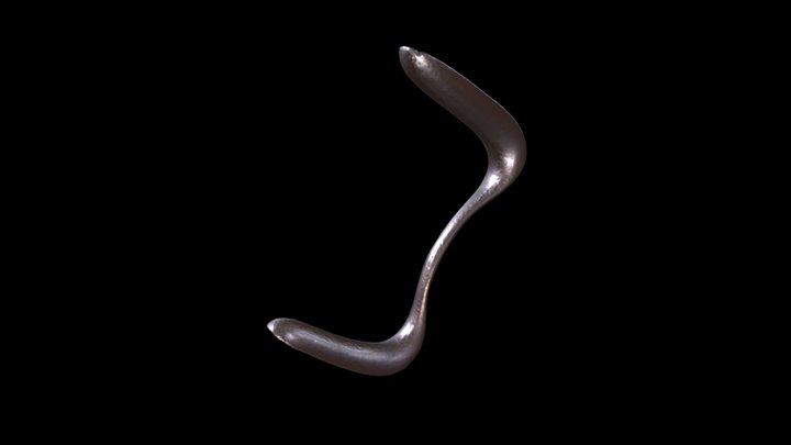 Sims's double-ended vaginal speculum 3D Model