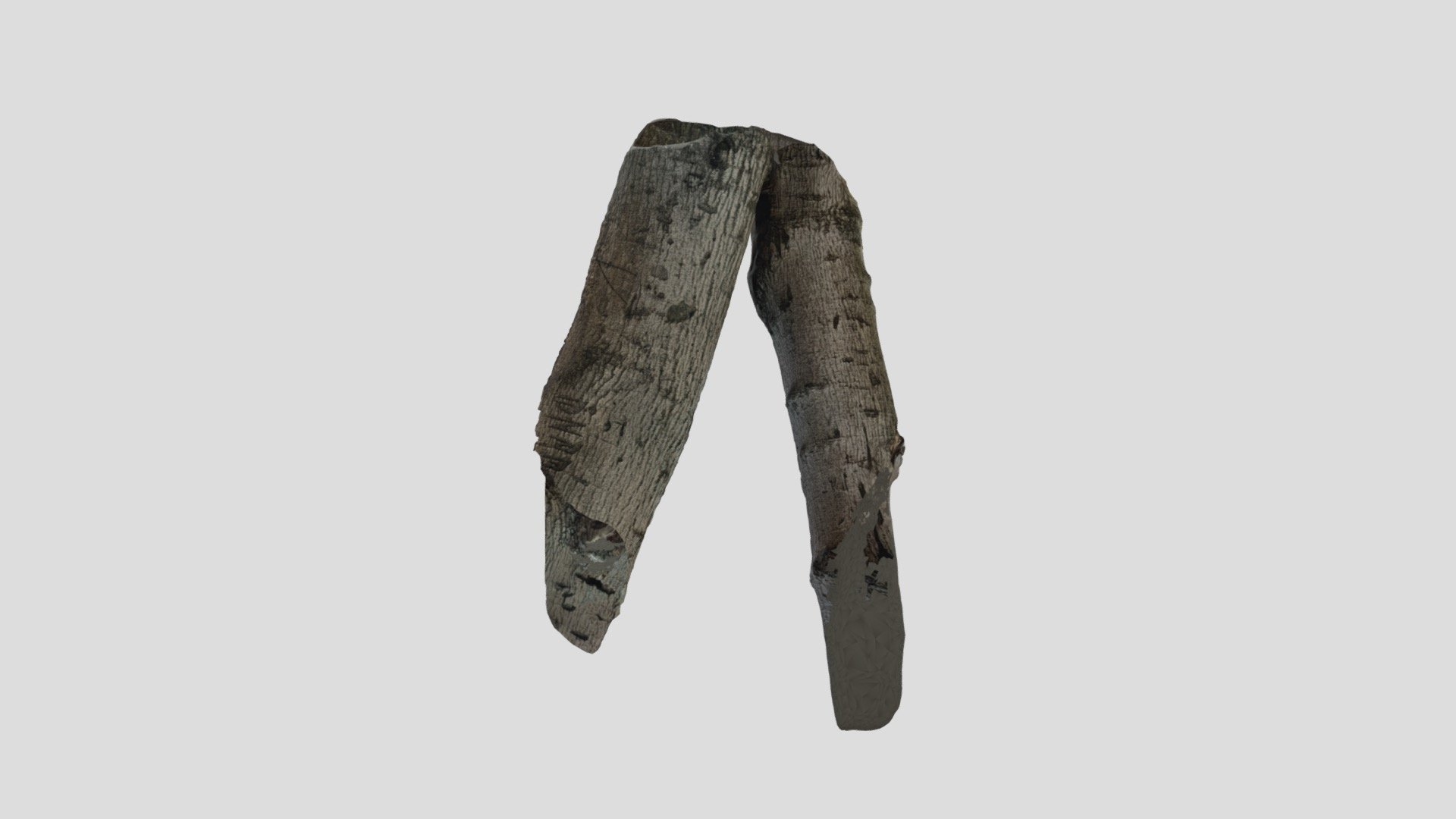 TRNIO Plus Tree Trunk 1
