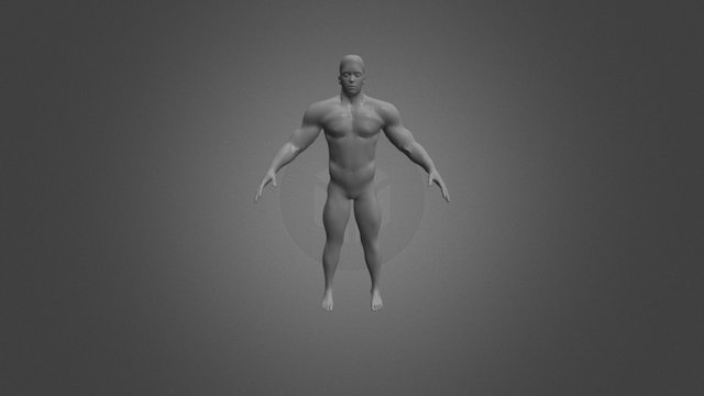人體線條 3D Model