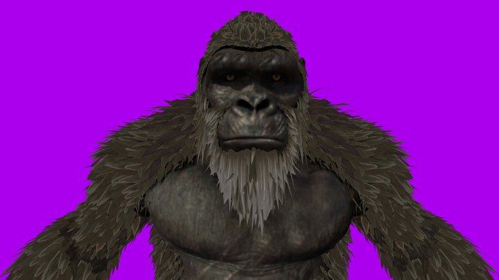 Kong 3D Model