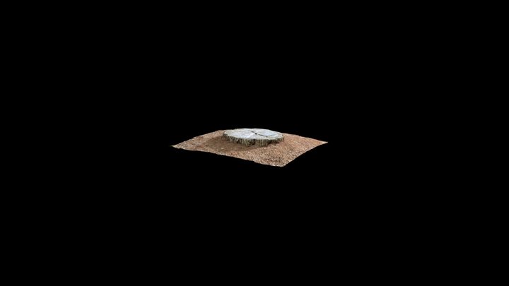 Stump of a Tree 3D Model