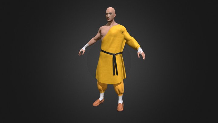 Kung Fu Master 3D Model