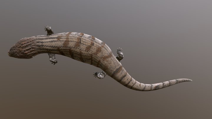 Lizard 1 – Kostenloses 3D-Modell STL