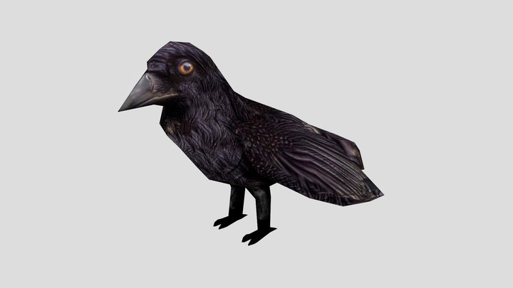 Low Poly Crow 3D Model