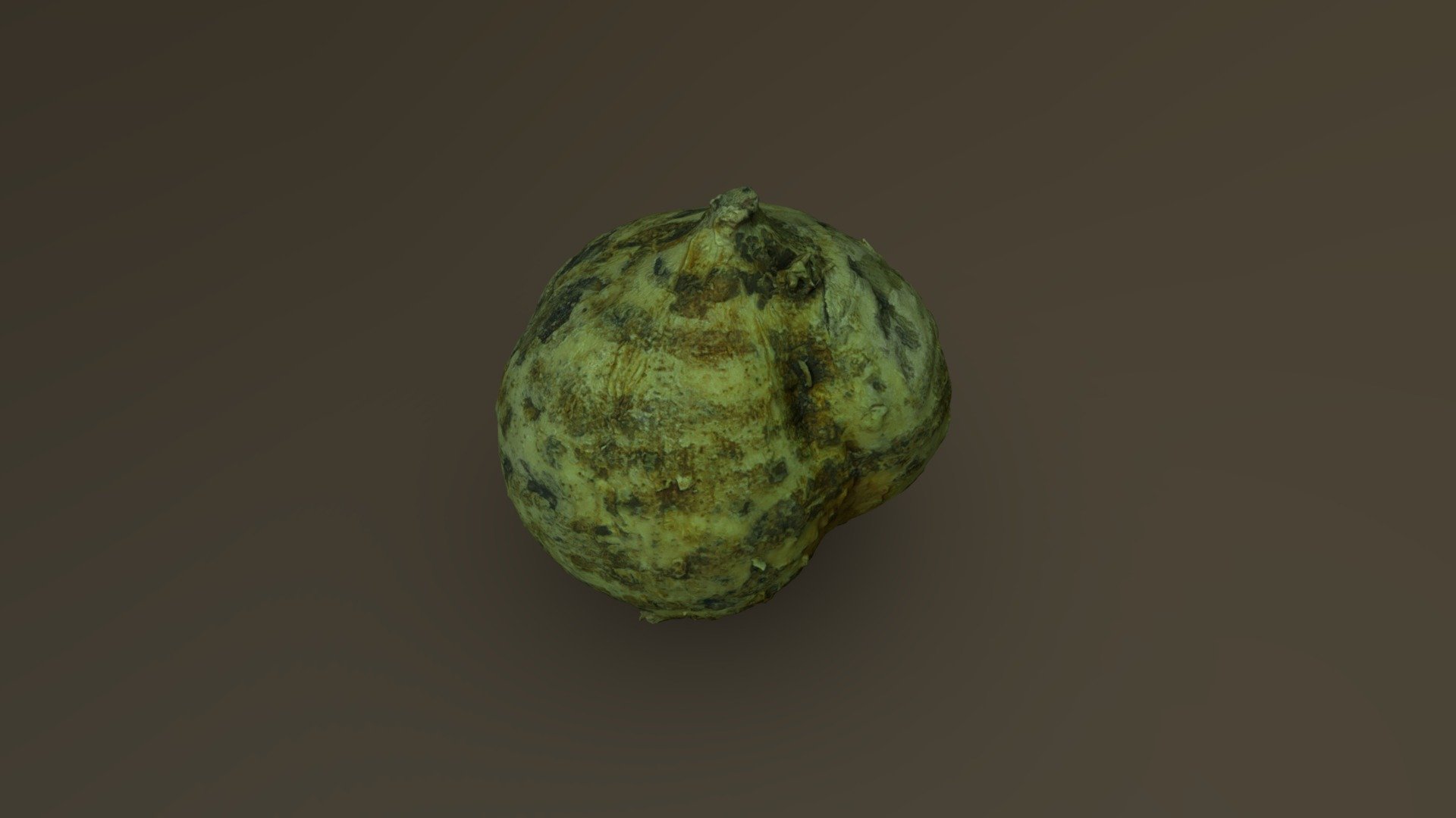 Mexican Turnip 01 - Buy Royalty Free 3D model by CemAygun [ae41836 ...