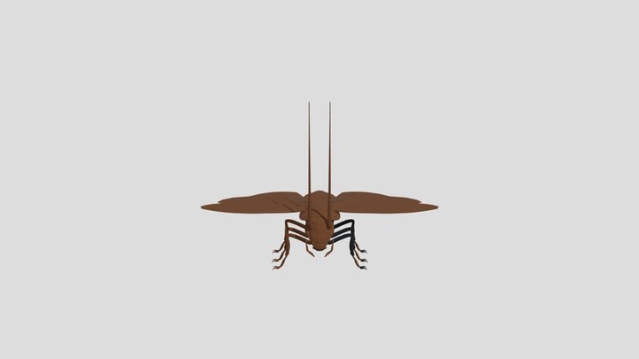 Roach Mannequin 3D Model