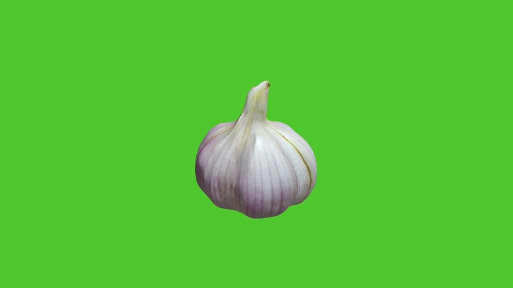 Garlic