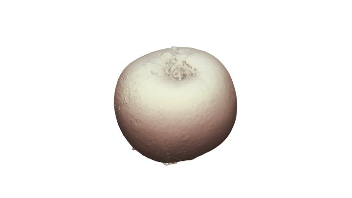 Model of an Apple – Kostenloses 3D-Modell STL