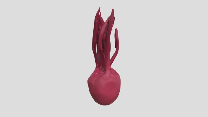 Nina the Nonapus – Kostenloses 3D-Modell STL