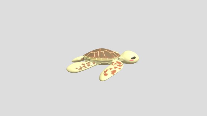 Turtle 3D Model
