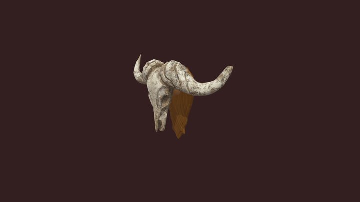 Trophée de chasse 3D Model