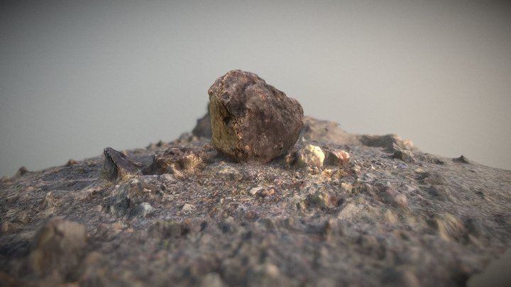 Rocher Savane des Pétrifications 3D Model
