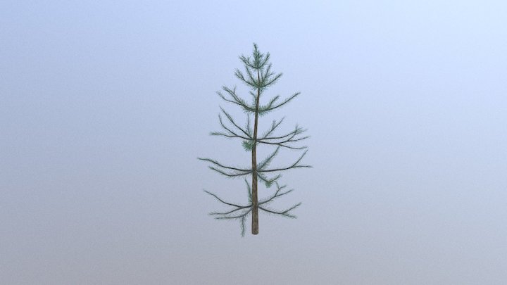 Pine 01 - Collection of Vegetation 3D Model