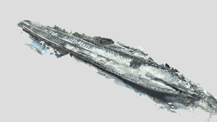 1880's Ferry (rough scan) 3D Model