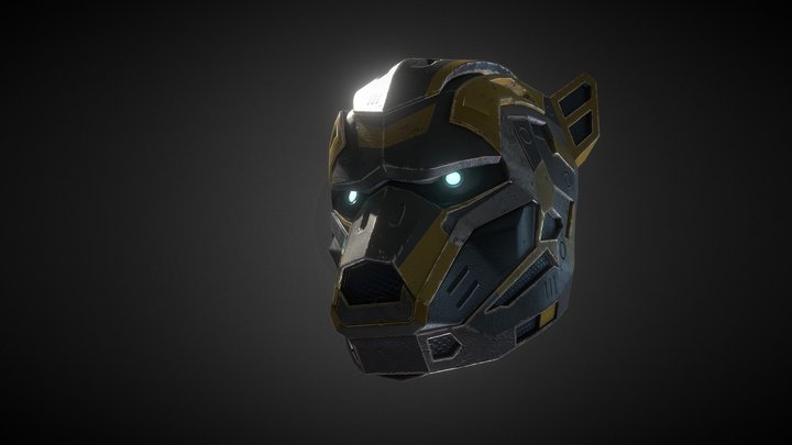 FHS_Helmet_001 3D Model