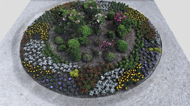 Blumenbeet - flower bed 3D Model