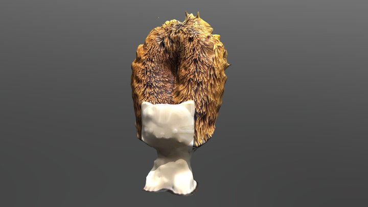 3D Printed Cat Brush Holder [Scaniverse LIDAR]