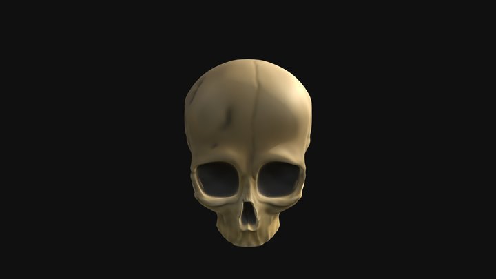 Skull Sculpt 3D Model