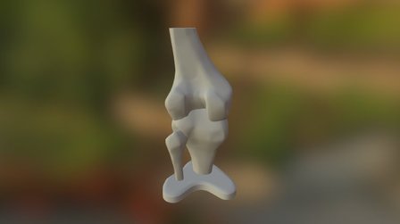 Knee-export 3D Model
