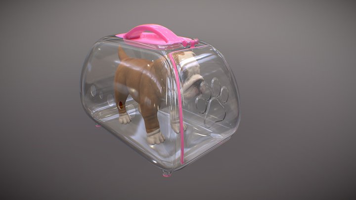 Caixa transportadora p/ pets (Pet Carrier) 3D Model
