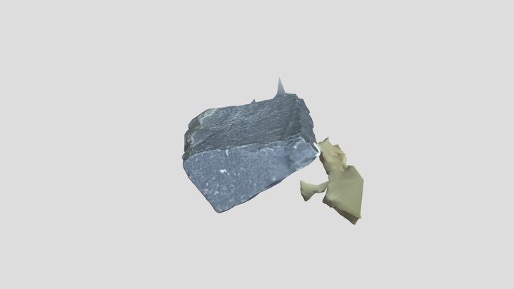 C44 3D Model