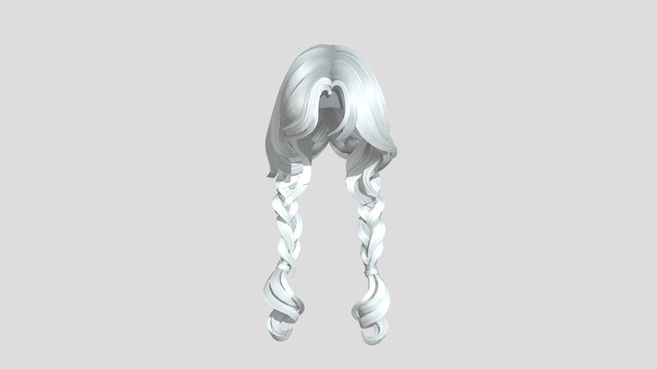 Braids 3D Model