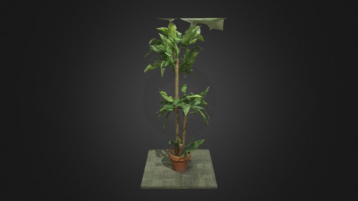 Fake Plant 3D Model