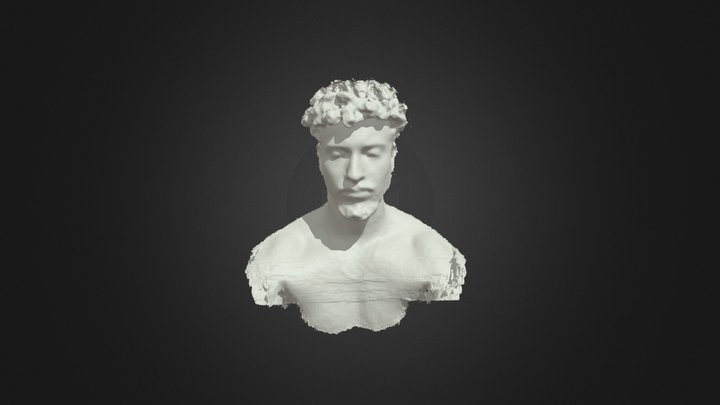 Teste de 3d face scan 3D Model