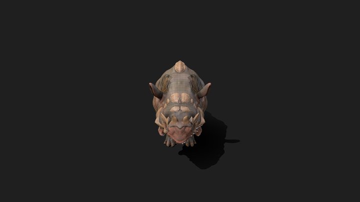 Boar Pig 3D Model