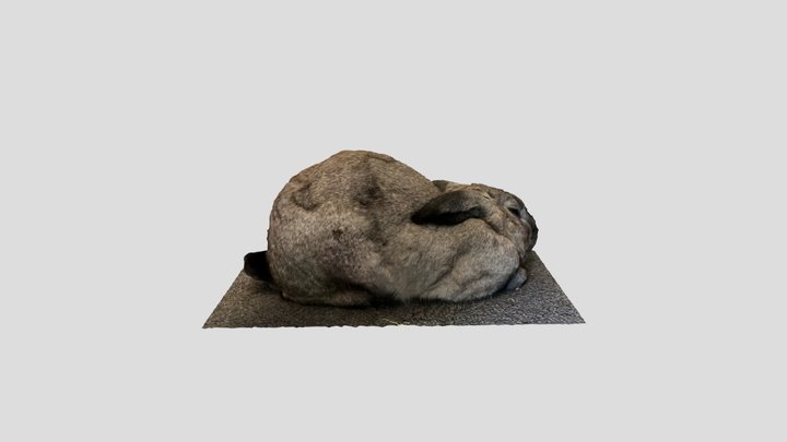 Bunny loaf 3D Model