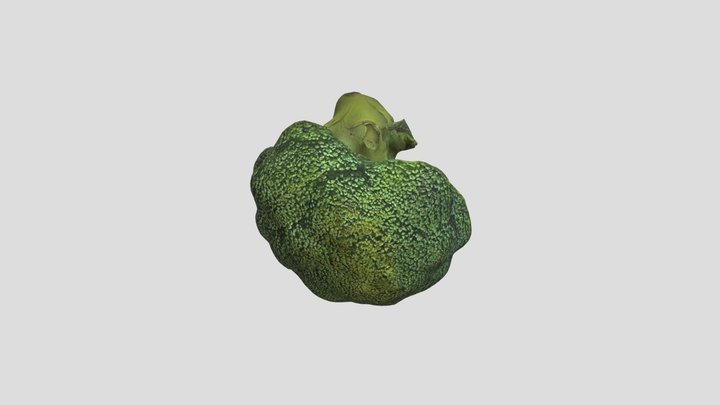 broccoli_retopology_diffuse map 3D Model