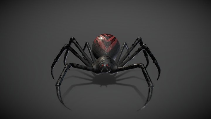 BLACK WIDOW Spider 3D Model