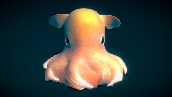 Dumbo Octopus 3D Model