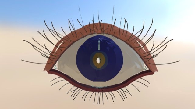 Eye for Apmetrix 3D Model