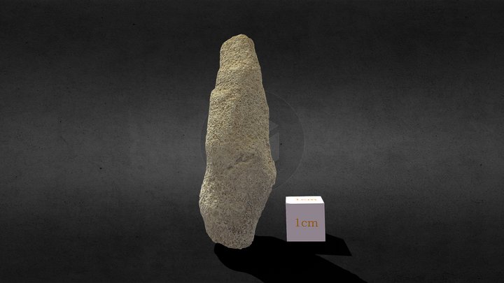 53_final 3D Model
