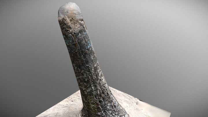 Retopo Beach Tree 3D Model