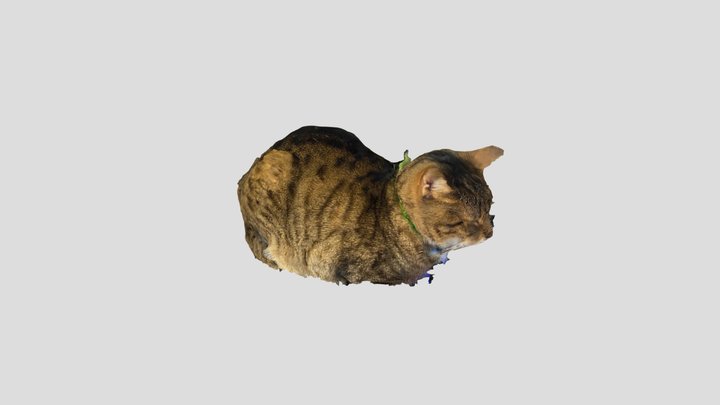 Prueba 5 - Gordo Lui 3D Model
