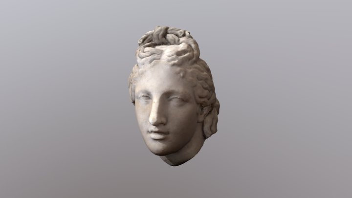 Head of Aphrodite of the Capitol type 3D Model