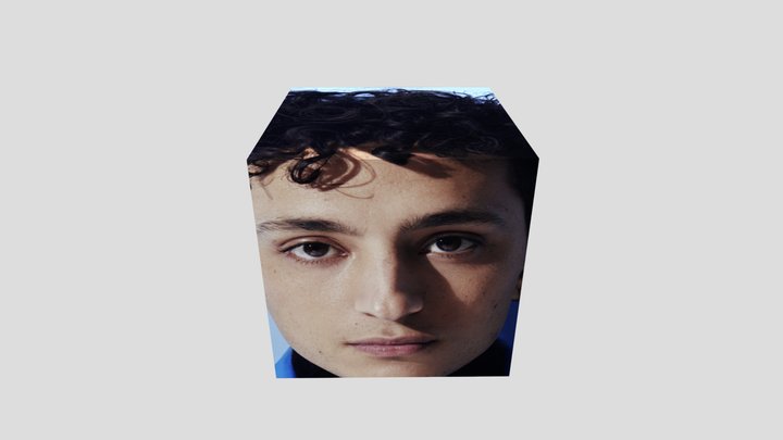 Cubeden 3D Model