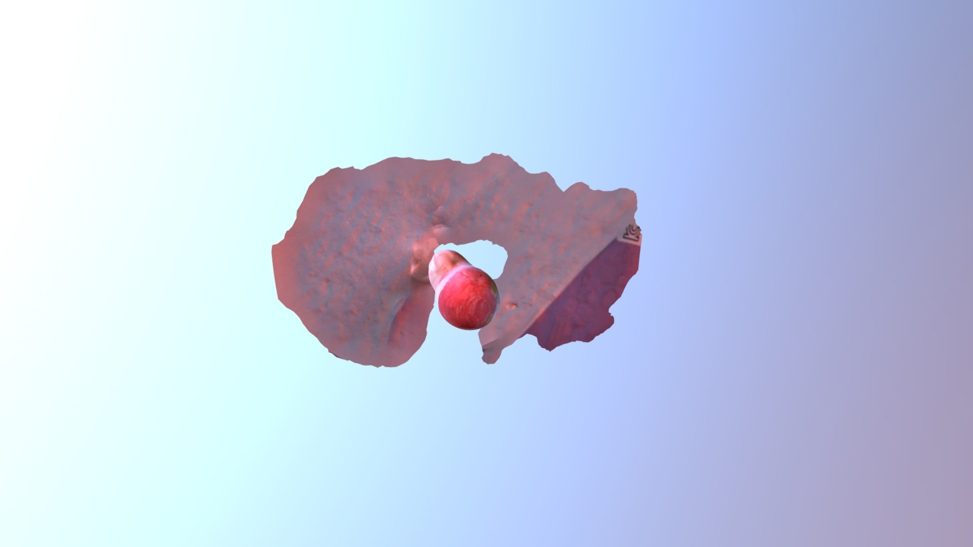 Did