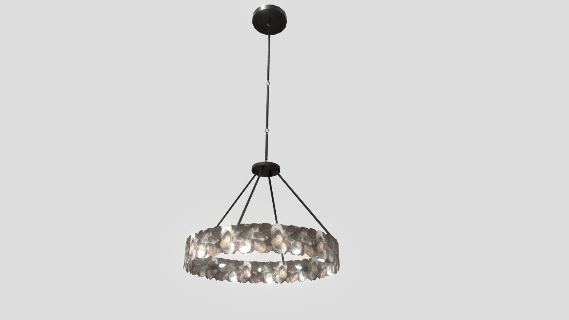 Currey & Company C9672 Oyster Bronze & Shell