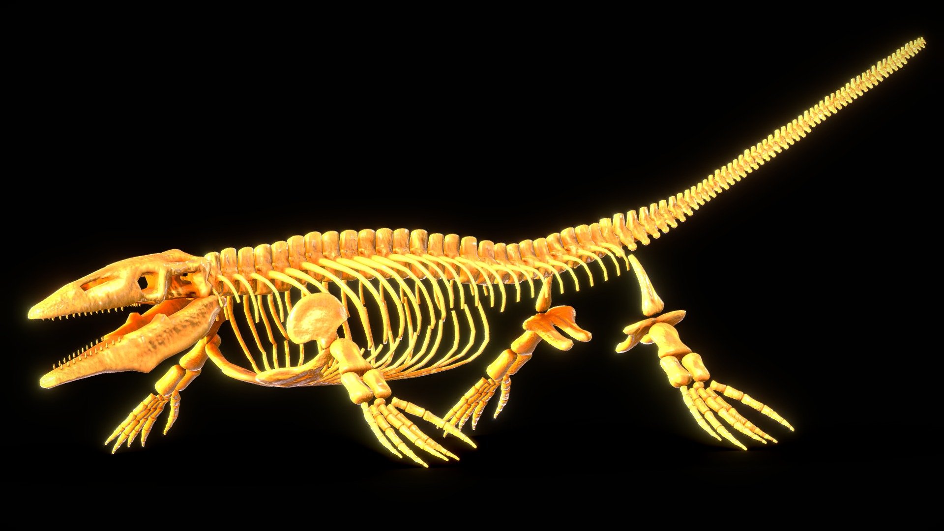 Realistic Reptilians Fossil - Mosasaurus - Buy Royalty Free 3D model by ...