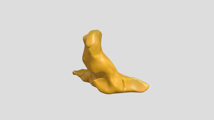 duck – Kostenloses 3D-Modell STL
