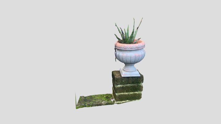 Vase 3D Model