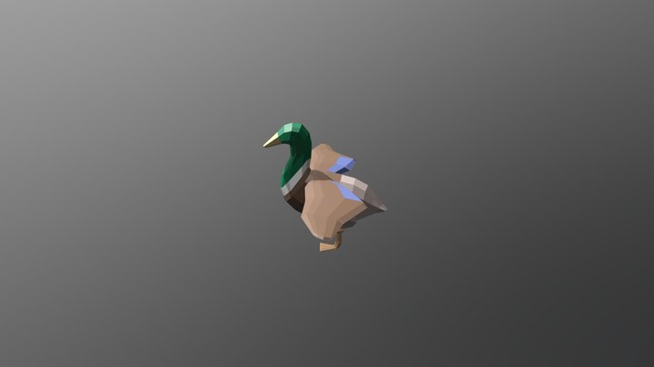 Duck Textured 3D Model