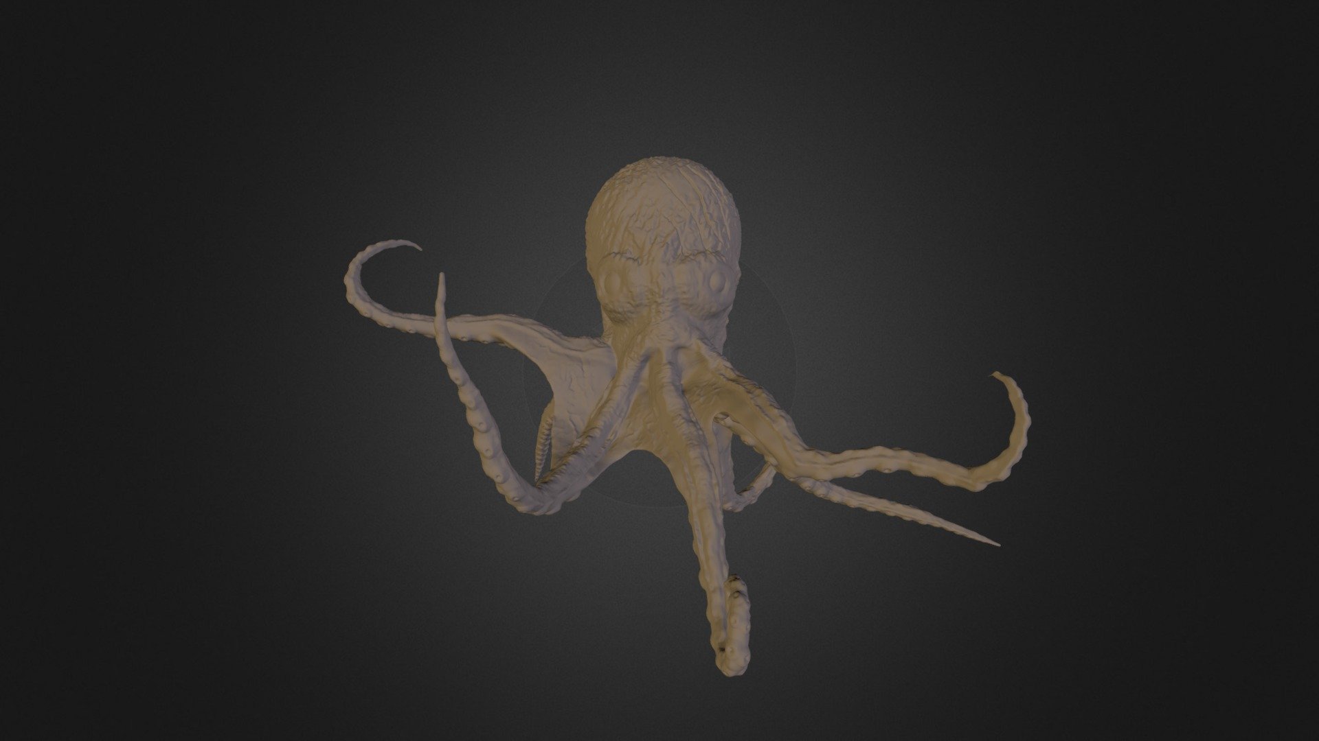 Octopus - 3D Model By Jason Walker (@jowalker) [ae810df] - Sketchfab