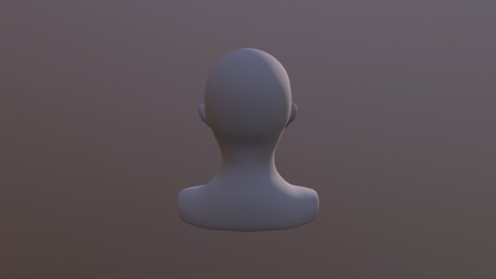 Head20180212 3D Model