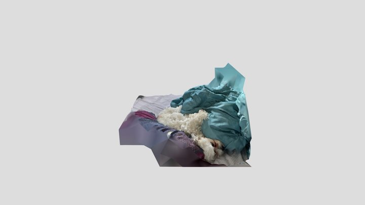 Sleeping dog under covers 3D Model